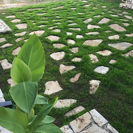 Green Silence - Vuk Podgorica Kültér fotó