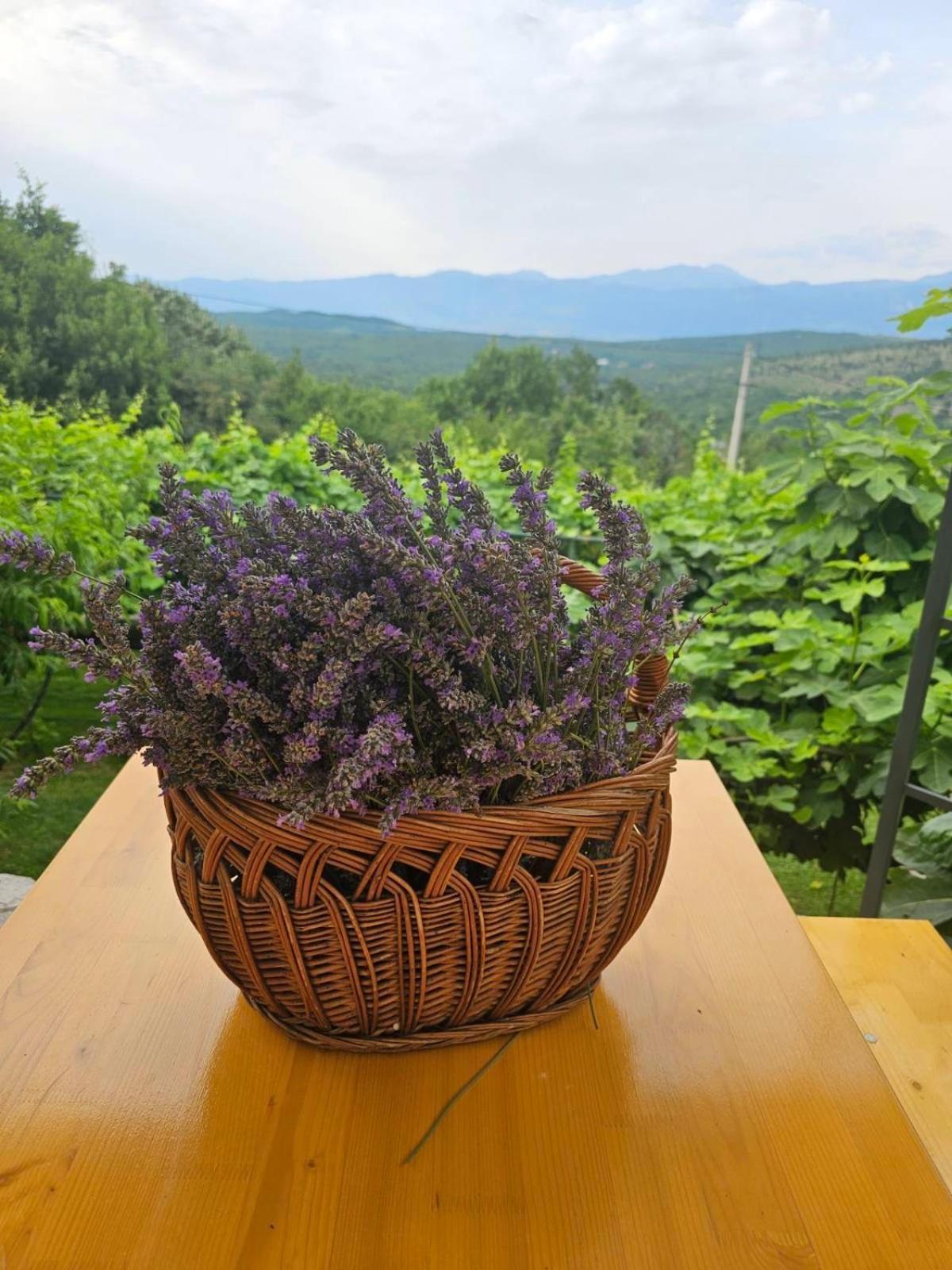 Green Silence - Vuk Podgorica Kültér fotó
