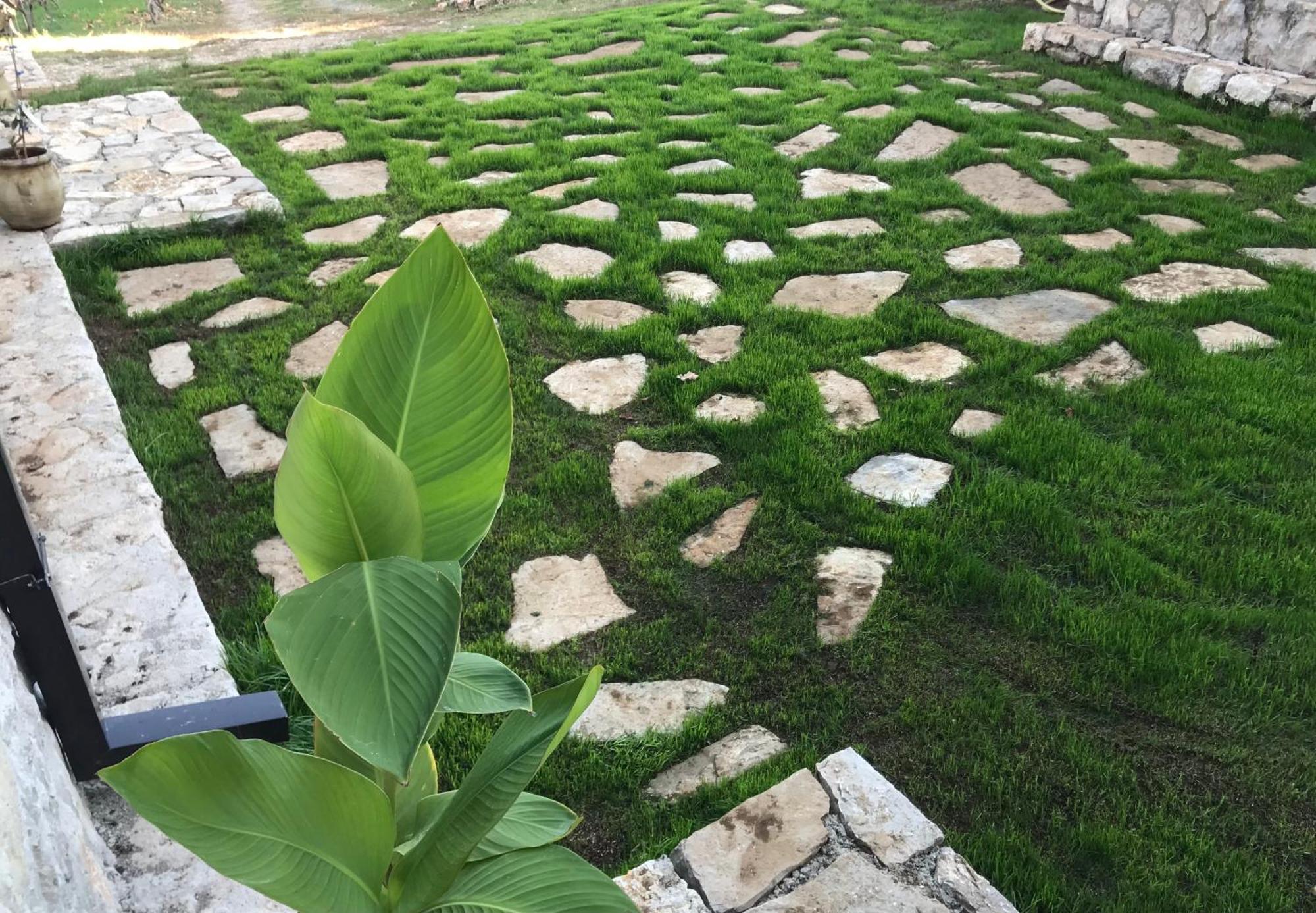 Green Silence - Vuk Podgorica Kültér fotó