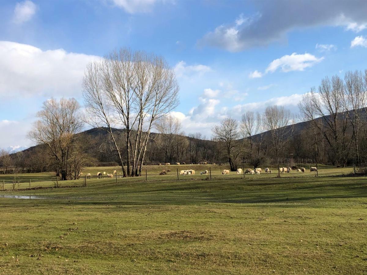 Green Silence - Vuk Podgorica Kültér fotó