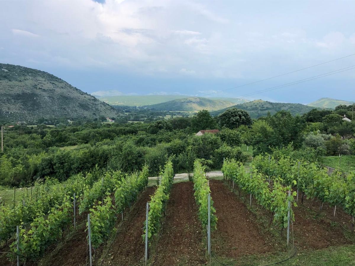 Green Silence - Vuk Podgorica Kültér fotó